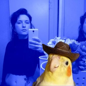 Meet your Posher, Katy